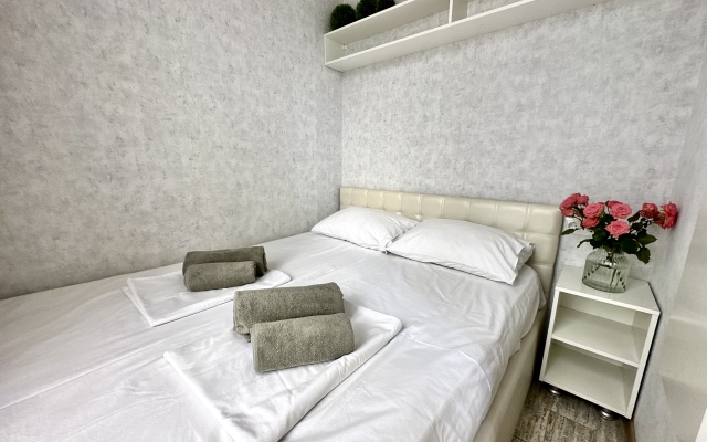 3Kh Komnatnye N2,50м Apartments
