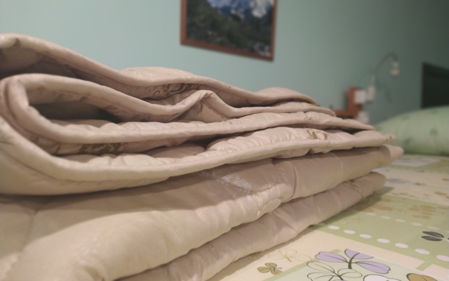 Хостел Аргус