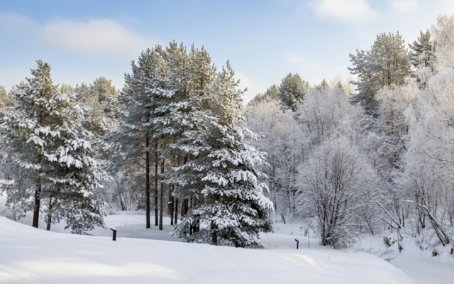 Апартаменты Лукоморье с камином и террасой у Охта Парка