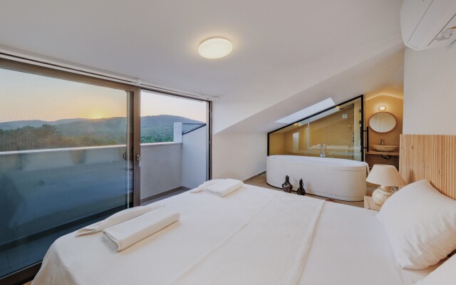 Ion Villa