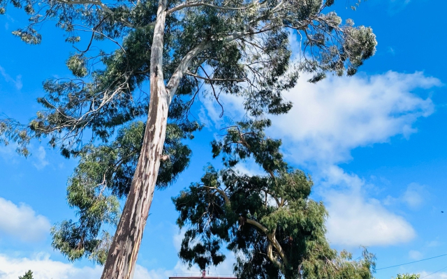 S Vidom na More Flat