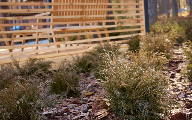 База отдыха Загородный клуб Лес