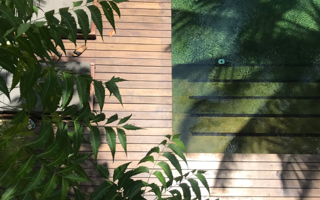 Kaju Green Eco Lodges Hotel