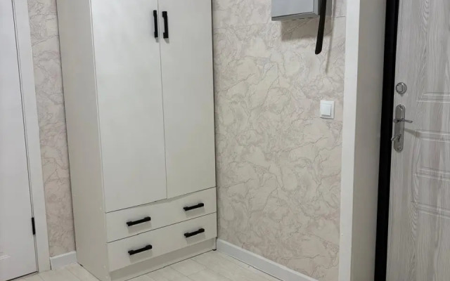 Квартира Большая