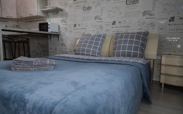 Uyutnaya Studiya Ryadom S Zhd Vokzalom Flat