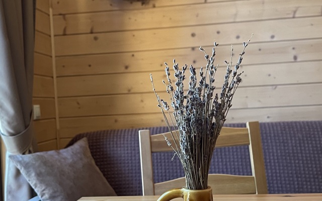 Shishka Guest House