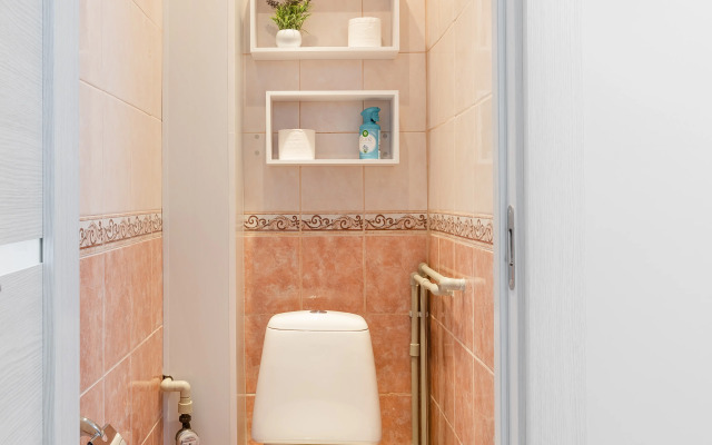 Dvukhkomnatnye Prudius Apart u Lakhta tsentra Apartaments