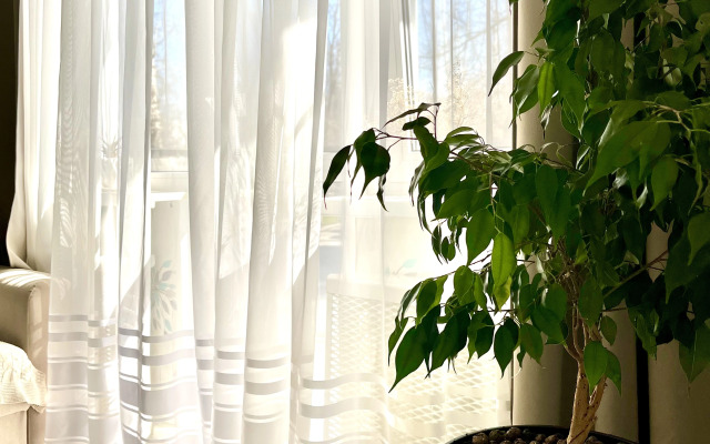 Dvukhkomnatnye nedaleko ot vokzalov Sinyaya ptichka Apartment
