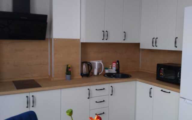 Апартаменты на Голенева 17/4