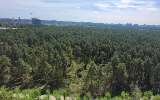 Квартира на Отрадной 1