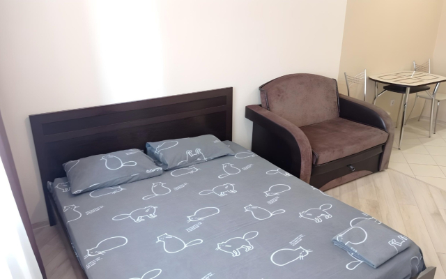 Апартаменты на Шифрина 1/1