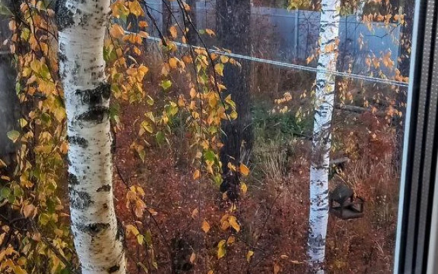 Частный дом VIP с собственным лесом