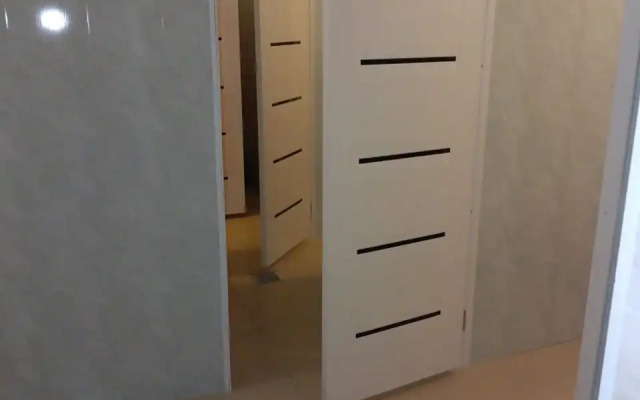Mir