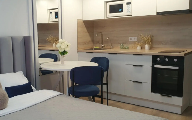 Studiya v sovpemennom rayone Flat
