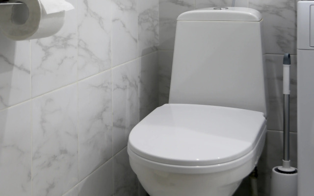 Апартаменты Chkalov