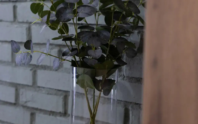 Апартаменты 2