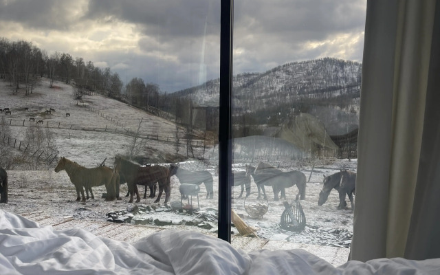 Гостевой дом Зеркальный дом в горах