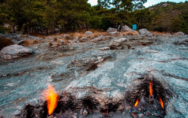 Меблированные комнаты Holiday House dilek çıralı