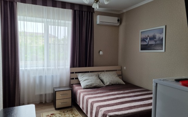 Lyudmila Na Turgeneva Guest House