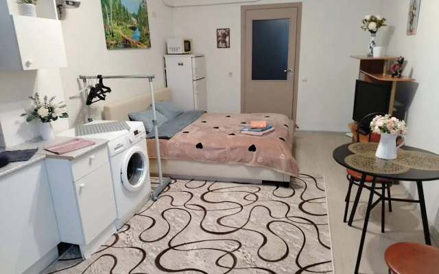 Uyutnoye Gnezdyshko V Tsentre Flat