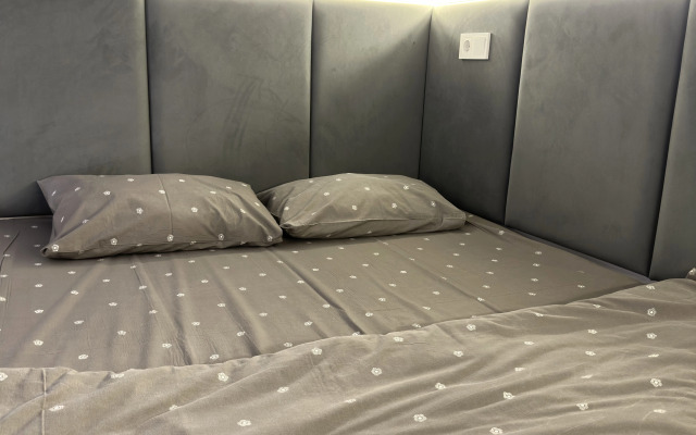 Апартаменты Уютная студия на Пушкинской