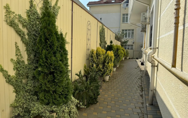 Квартира 382 с Балконом 7 Мин до Моря