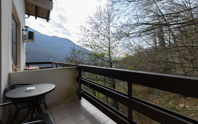 Oplot - S balkonom 9 Apartments