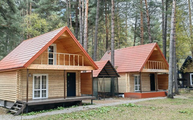 Arhyzh Forest Eco Recreation camp