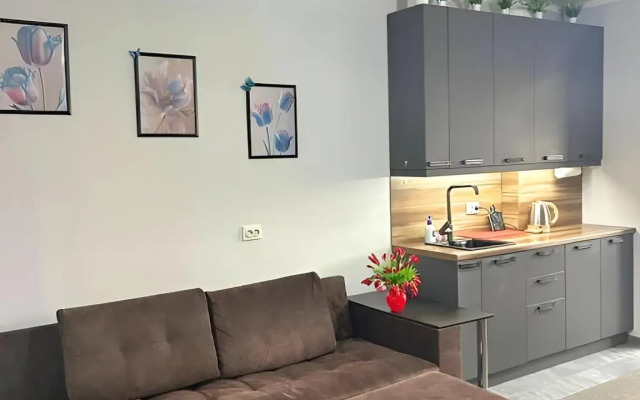 Uyutnaya Prostornaya Yevrodvushka S Vidom Na Goru Flat