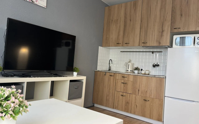 Апартаменты "DaRent Karelia" на Октябрьской 4а