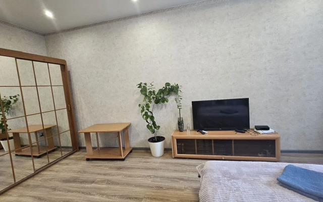 Квартира просторная на бульваре Космонавтов 5