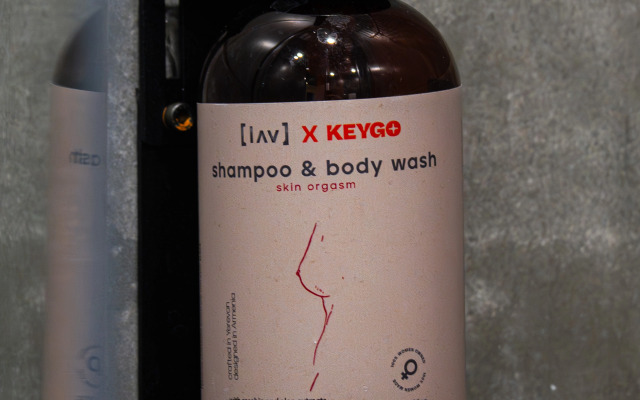 Апартаменты KeyGo #0126 ключ к центру Еревана