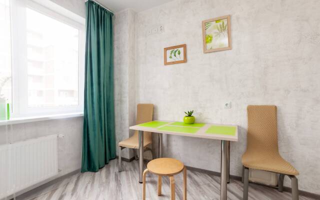 Uyutnyie Na Ligovskom Apartments
