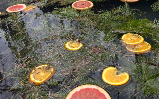 Частный дом Уютный у леса