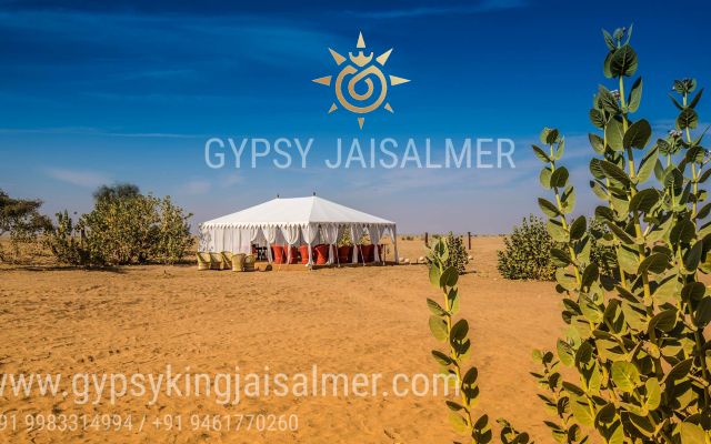 Gypsy King Desert Safari Camps & Resort Apartments