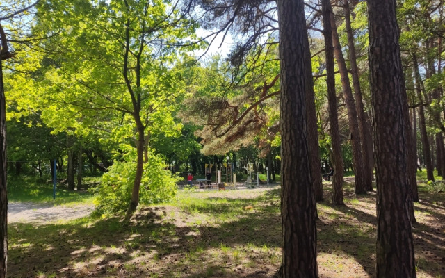 Апартаменты Greenwill