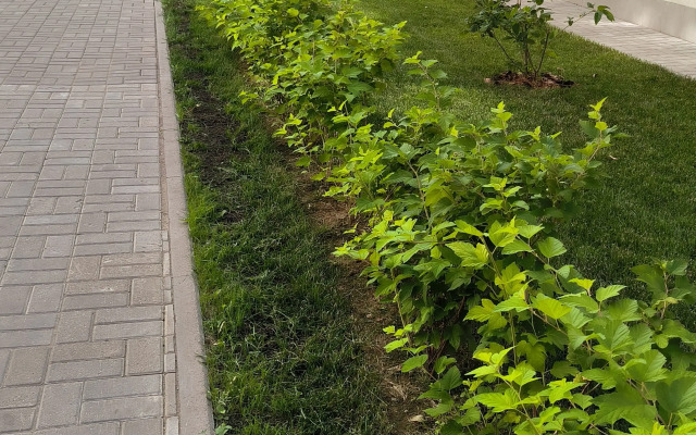 Uyutnaya Studiya v Samom Serdtse Yaroslavlya Flat