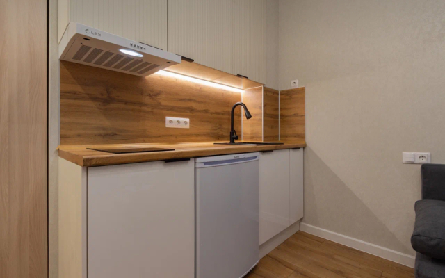 Studiya Na Lenina Flat