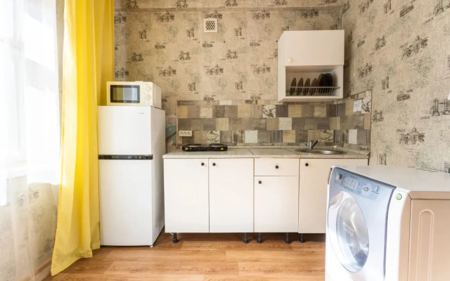 Odnokomnatnyye Passazhir 2 Apartments