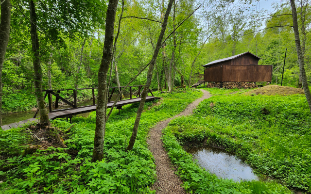 Zhivopisniy ostrov Glamping