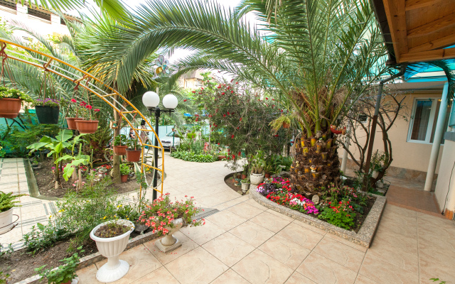 Delfin Hotel