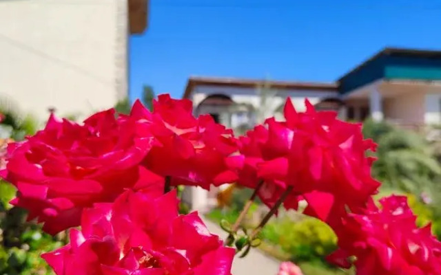 Guest house Deni Delmar