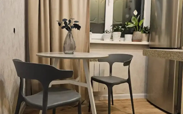 Dvukhkomnatnaya Kvartira S Dizaynerskim Remontom Na Gudovantseva 51 Flat