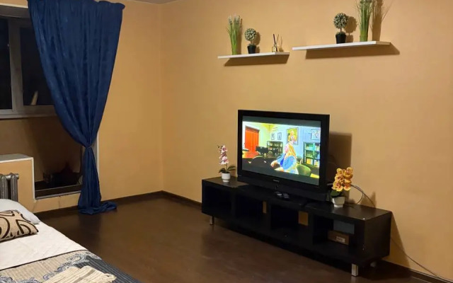 Квартира возле ЦИТО и МВД