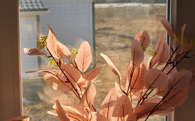 Частный Дом на Казамазова 151