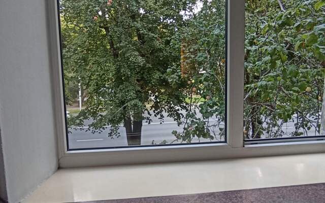 Апартаменты на Невского 125А