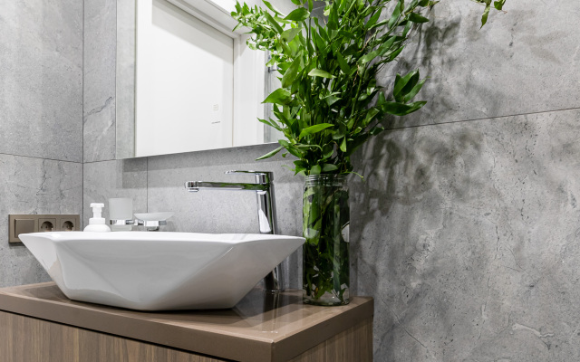 Апартаменты LS Savin House