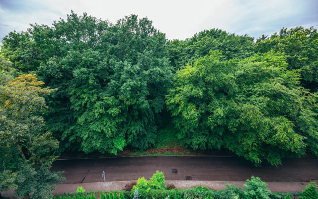 Квартира Однокомнатная в Районе Амалиенау