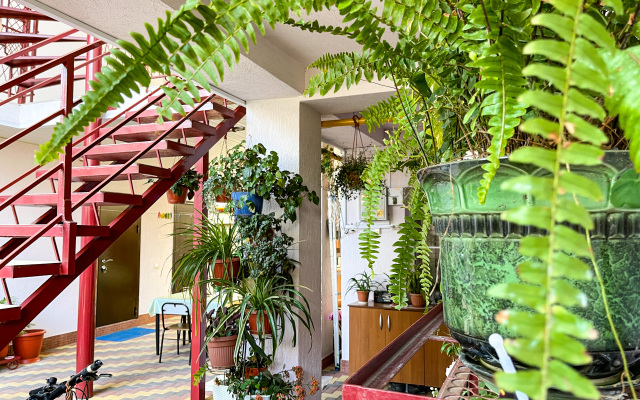 Olga Guest House
