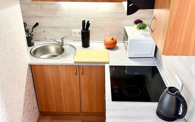 Квартира студия у метро Пионерская Гости Дома